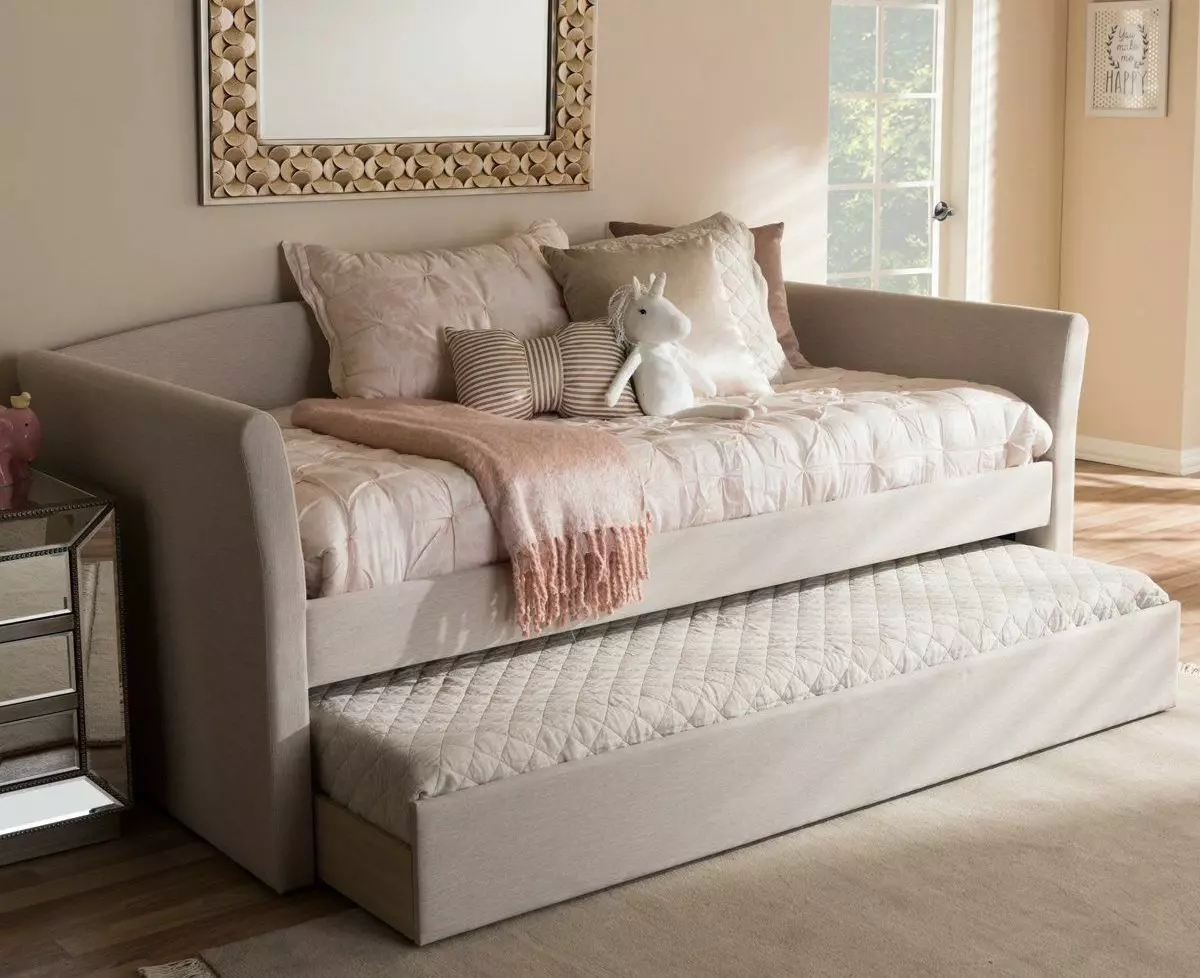 फोल्डिंग डबल सोफा: एक बिस्तर-ट्रांसफार्मर बिस्तर, स्लाइडिंग और एक भारोत्तोलन तंत्र के साथ चुनें 9046_4