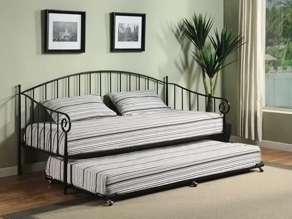 روزانہ استعمال کے لئے ڈیلی سوفا بستر (79 فوٹو): ہر دن کے لئے نیند کے لئے ایک ماڈل کا انتخاب کیسے کریں؟ گدھے کے ساتھ بہترین آرام دہ اور پرسکون سوف بستر 9048_33