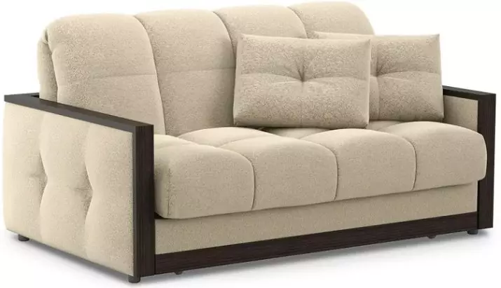 Sofa amben saben dina kanggo nggunakake saben dina (79 foto): Cara milih model kanggo turu saben dinane? Katon sofas paling apik kanthi kasur 9048_54