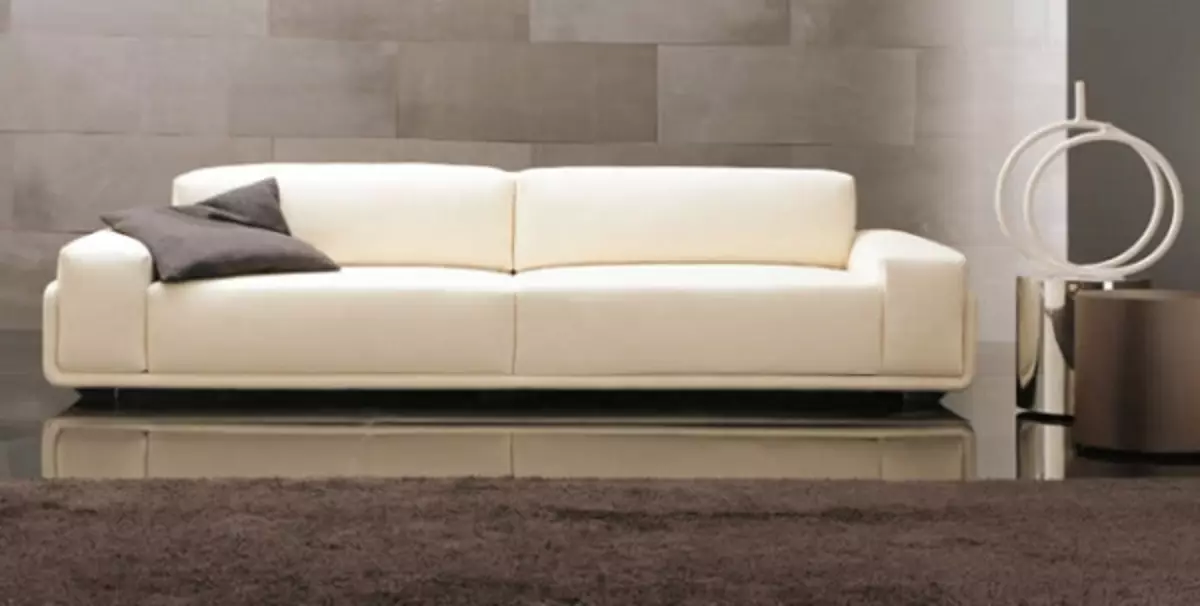 Minimalism Sofa (36 photos): Choose the corner and straight, Fuchsia colors and other modern models 9053_30