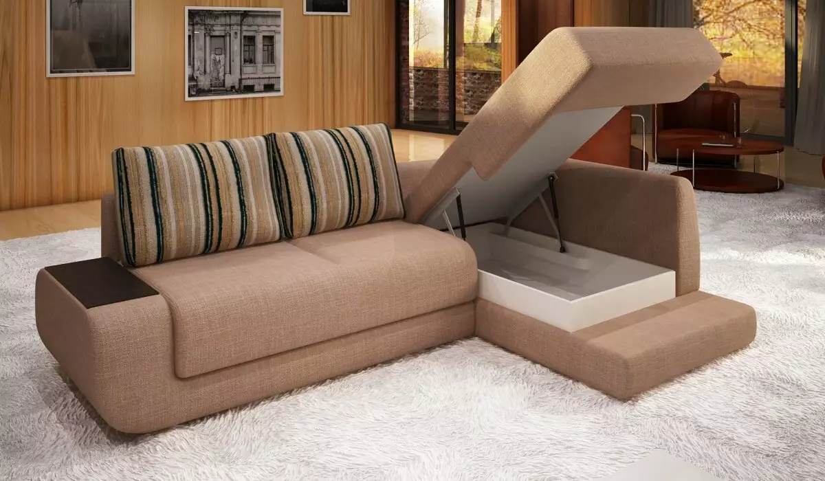Den beste sofa transformasjonsmekanismen for daglig bruk: Hvordan velge en sofa for søvn? Den mest pålitelige og praktiske mekanismen for hver dag. Anmeldelse Anmeldelser 9059_23