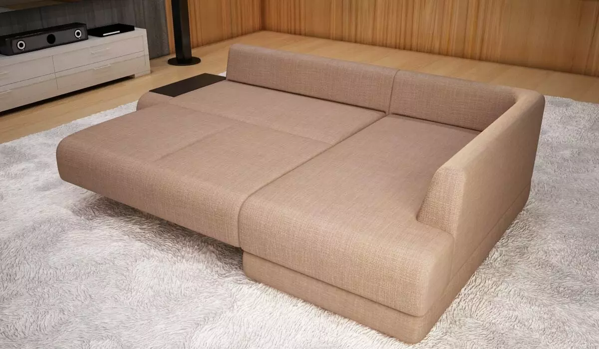 Labākais dīvāna transformācijas mehānisms ikdienas lietošanai: kā izvēlēties dīvānu miega režīmam? Visdrošākais un ērtākais mehānisms katru dienu. Pārskatīšanas atsauksmes 9059_25