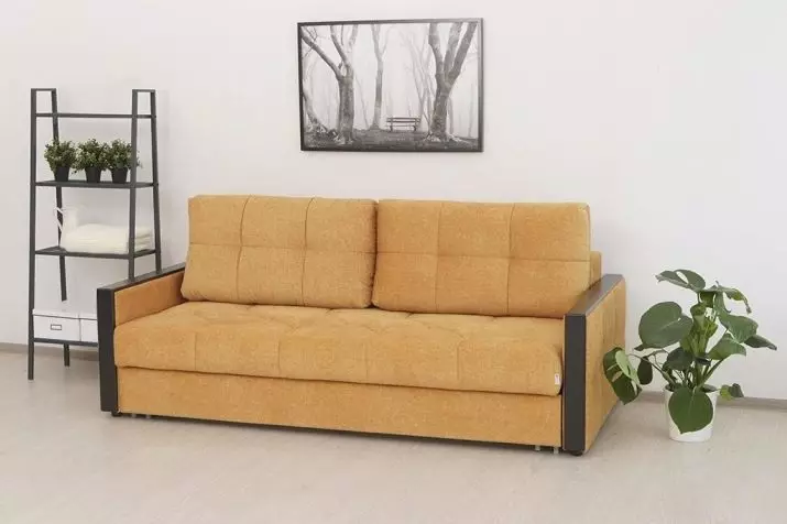 Mekanisme transformasi sofa terbaik untuk kegunaan harian: bagaimana untuk memilih sofa untuk tidur? Mekanisme yang paling boleh dipercayai dan mudah untuk setiap hari. Ulasan ulasan 9059_28