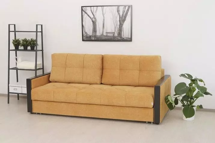 Eguneroko erabilerarako sofa eraldaketa mekanismo onena: Nola aukeratu sofa bat lo egiteko? Egunero mekanismo fidagarriena eta erosoa. Berrikusteko berrikuspenak 9059_28