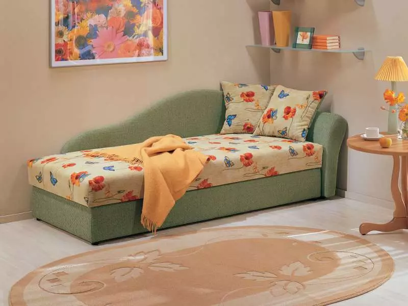 Sofa ngủ (87 ảnh): Chọn rộng 160 cm trong phòng, kích thước 160x200, 200x200 và 180x200, giường sofa với lưng cao và ghế sofa-ghế sofa 9066_19