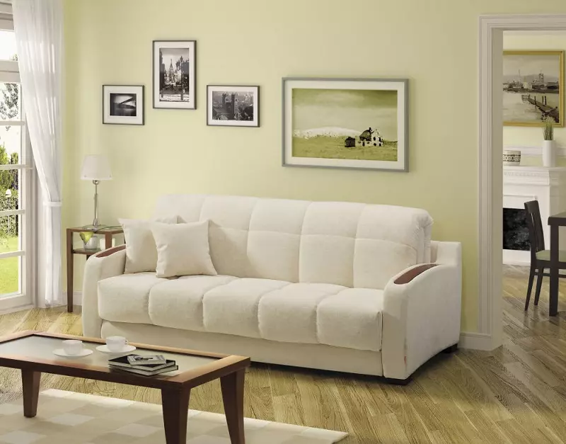 Sofa ngủ (87 ảnh): Chọn rộng 160 cm trong phòng, kích thước 160x200, 200x200 và 180x200, giường sofa với lưng cao và ghế sofa-ghế sofa 9066_39