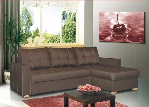 Sofa ngủ (87 ảnh): Chọn rộng 160 cm trong phòng, kích thước 160x200, 200x200 và 180x200, giường sofa với lưng cao và ghế sofa-ghế sofa 9066_42