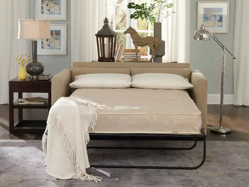 Sofa ngủ (87 ảnh): Chọn rộng 160 cm trong phòng, kích thước 160x200, 200x200 và 180x200, giường sofa với lưng cao và ghế sofa-ghế sofa 9066_48