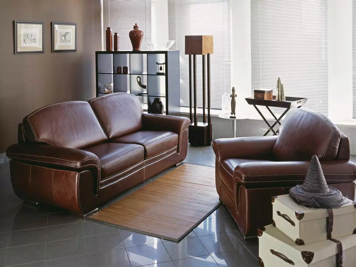 Sofa ngủ (87 ảnh): Chọn rộng 160 cm trong phòng, kích thước 160x200, 200x200 và 180x200, giường sofa với lưng cao và ghế sofa-ghế sofa 9066_61