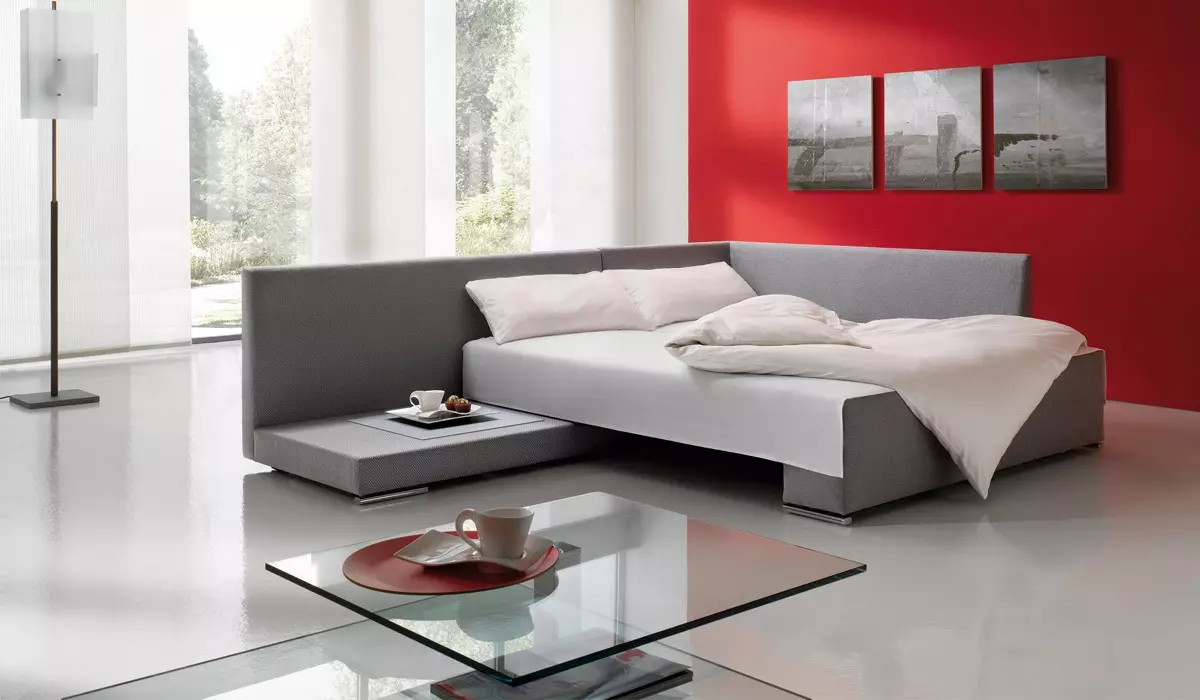 Sofa ngủ (87 ảnh): Chọn rộng 160 cm trong phòng, kích thước 160x200, 200x200 và 180x200, giường sofa với lưng cao và ghế sofa-ghế sofa 9066_65