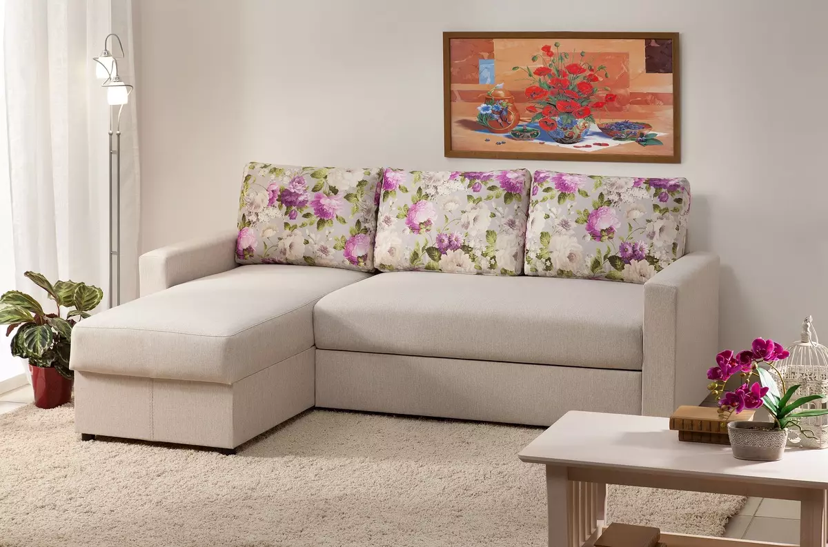 Sofa ngủ (87 ảnh): Chọn rộng 160 cm trong phòng, kích thước 160x200, 200x200 và 180x200, giường sofa với lưng cao và ghế sofa-ghế sofa 9066_70
