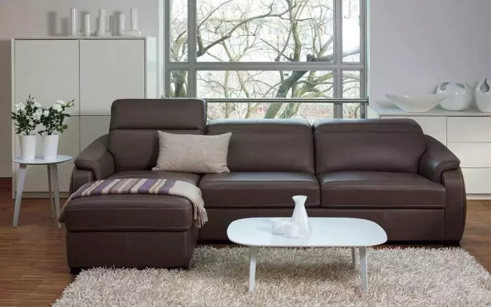Sofa ngủ (87 ảnh): Chọn rộng 160 cm trong phòng, kích thước 160x200, 200x200 và 180x200, giường sofa với lưng cao và ghế sofa-ghế sofa 9066_71