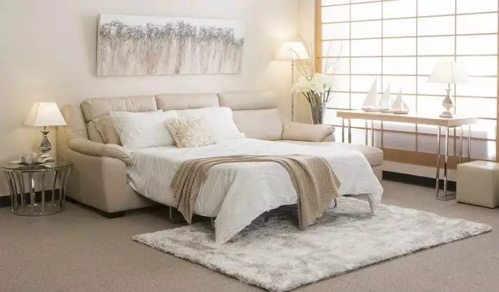 Sofa ngủ (87 ảnh): Chọn rộng 160 cm trong phòng, kích thước 160x200, 200x200 và 180x200, giường sofa với lưng cao và ghế sofa-ghế sofa 9066_77