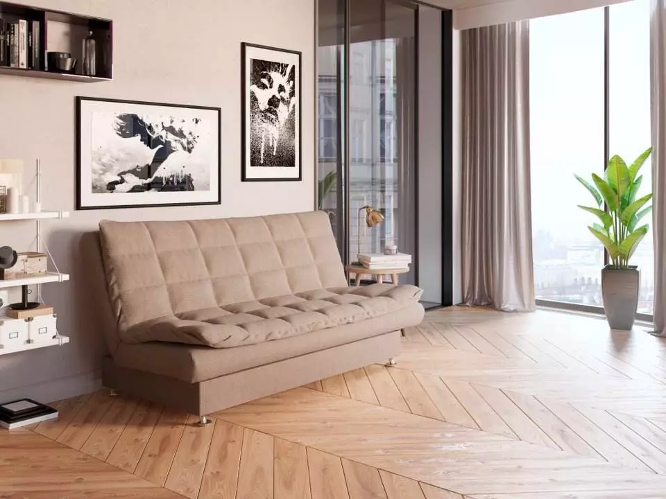 Sofa ngủ (87 ảnh): Chọn rộng 160 cm trong phòng, kích thước 160x200, 200x200 và 180x200, giường sofa với lưng cao và ghế sofa-ghế sofa 9066_81