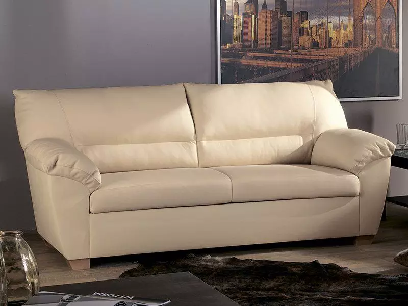 Ang mga sofas nga adunay usa ka mekanismo sa sedaflex: Pagpili usa ka higdaanan nga sofa nga adunay usa ka mekanismo nga 