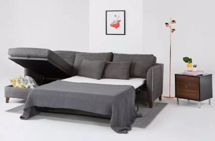 Sofos su Sedaflex mechanizmu: pasirinkite sofa lova su mechanizmu 