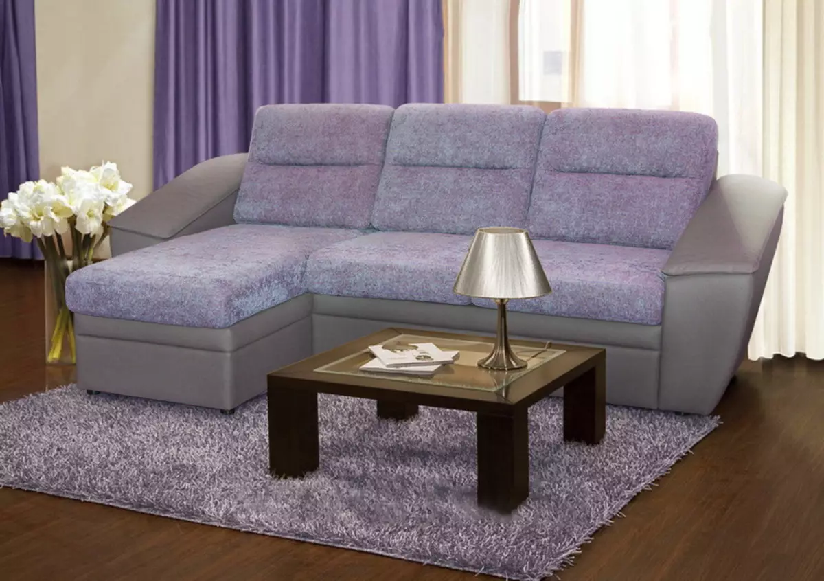 Sofos su Sedaflex mechanizmu: pasirinkite sofa lova su mechanizmu 