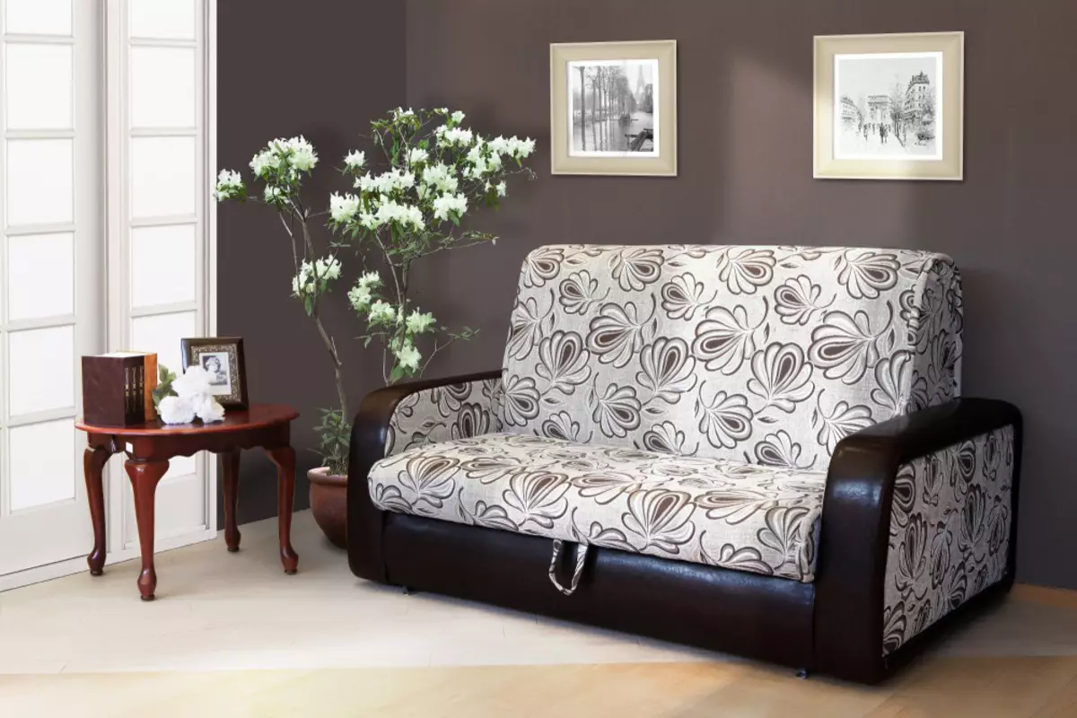 Sofas miaraka amin'ny mekanika sedaflex: Misafidiana fandriana sofa misy mekanika 