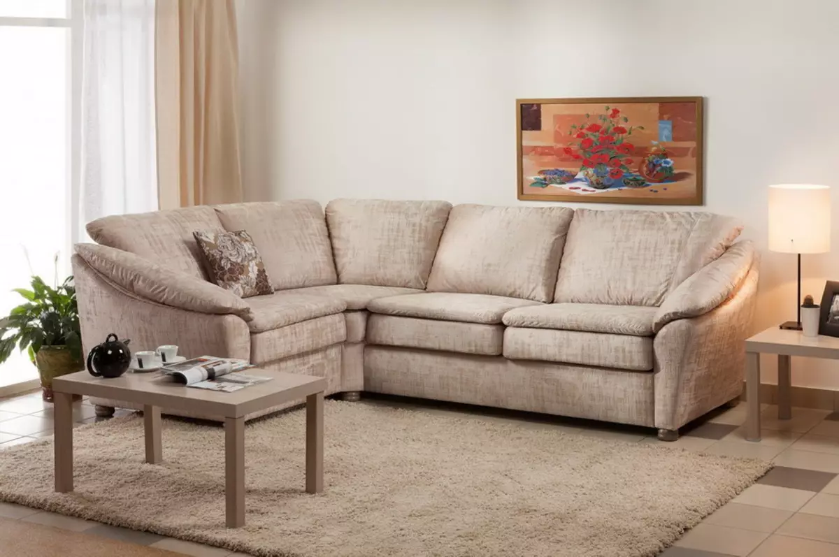 Ang mga sofas nga adunay usa ka mekanismo sa sedaflex: Pagpili usa ka higdaanan nga sofa nga adunay usa ka mekanismo nga 