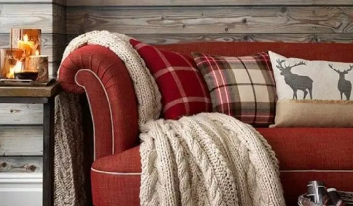 Kies in trendy plaid foar in sofa (31 fotos): in resinsje fan Stylish nije produkten, de trends fan prachtige bedutsen yn in moderne styl, Monophonic en mei in tekening 9072_31