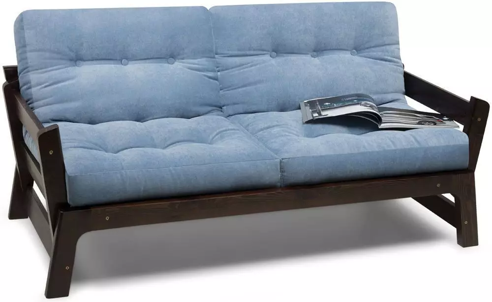 Тесните дивани: сгъване прав и кът с място за спане. дълбочина Sofams 70-80 см и други размери. Съвети за избор 9085_11