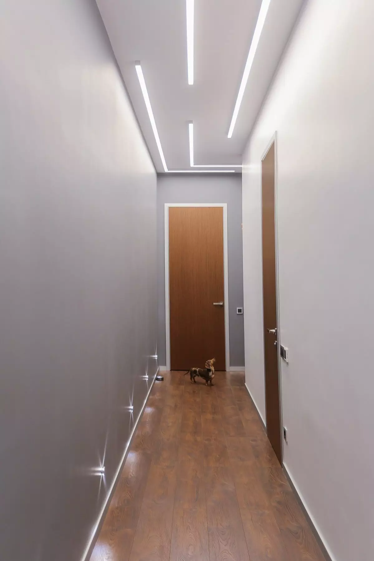 תאורה במסדרון (63 תמונות): אור במסדרון הדירה עם תקרה מתיחה, תאורה הרצפה עם חיישן תנועה תאורה לילה. איך לארגן תאורה במסדרון צר ארוך עם מסדרון? עיצוב מודרני בבית 9092_16
