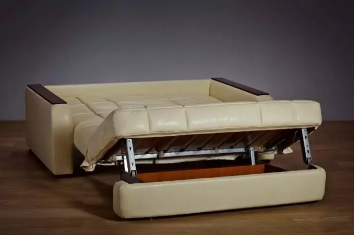 Ortopediki düşek we zernasiýa düşegi we zernasiýa çörekleri bilen aktordion sofas: Sofas düşekleri we beýleki modeller 9103_22