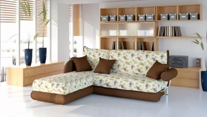 Accordion Sofas ერთად ორთოპედიული ლეიბები და თეთრეულის უჯრა: კუთხე Sofas საწოლი და სხვა მოდელები 9103_27