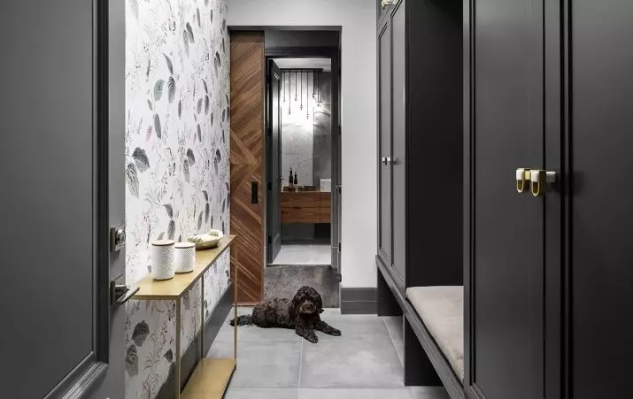 狹窄的走廊大廳（74張照片）：公寓設計中的鏡子走廊，內置角度家具深度30厘米和走廊中的模塊化牆 9116_28