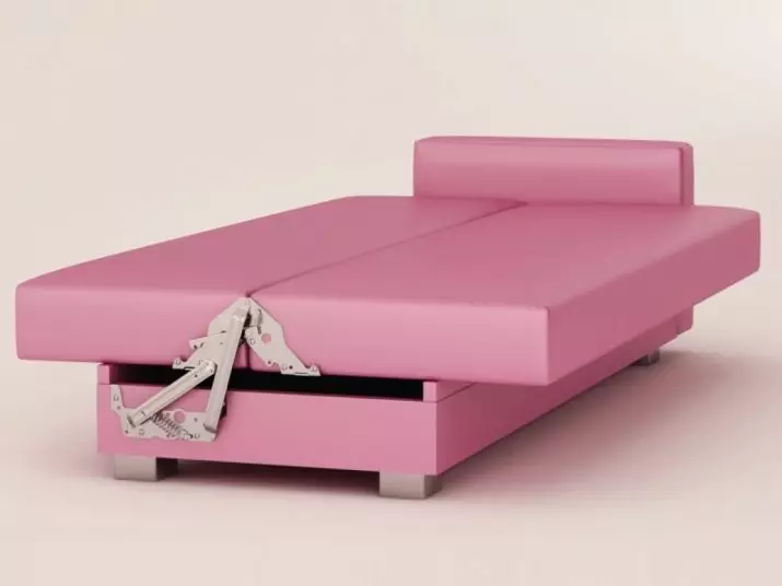 Ružičaste sofe: Primjeri u unutrašnjosti, prljavoj i prašini-ružičastoj boji, mekoj i sivoj ružičastoj, blijedi ružičastim i drugim nijansama 9119_11