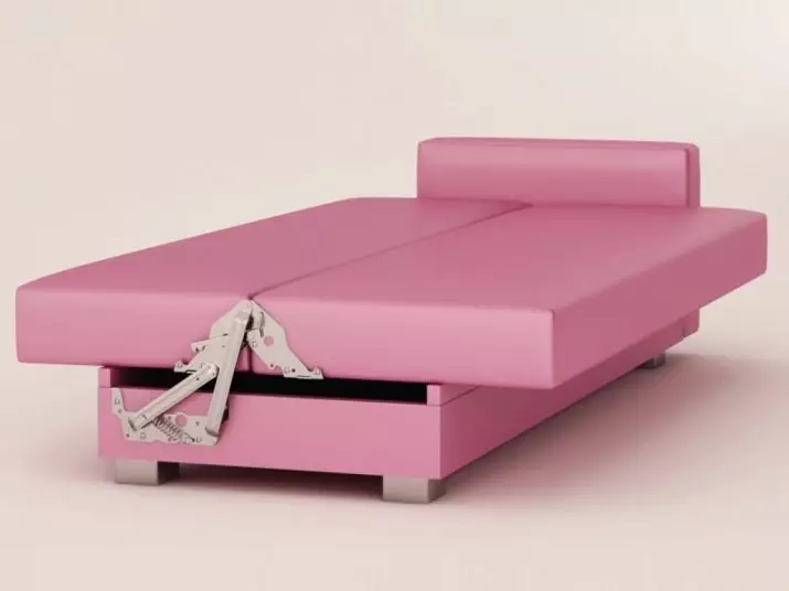 SOFA SOFAS: Mienzaniso iri mumukati, yakasviba uye ine guruva-pink ruvara, nyoro uye grey pink, pale pink uye imwe shades 9119_11