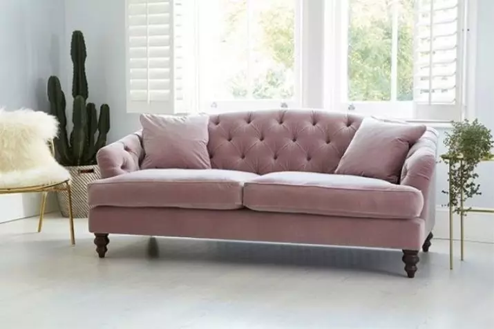 Ružičaste sofe: Primjeri u unutrašnjosti, prljavoj i prašini-ružičastoj boji, mekoj i sivoj ružičastoj, blijedi ružičastim i drugim nijansama 9119_22