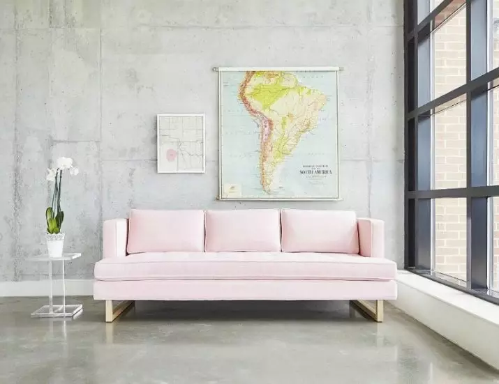 Pink Sofas: Ekzemploj en la interno, malpura kaj polva-rozkolora koloro, mola kaj griza rozkolora, pala rozkolora kaj aliaj nuancoj 9119_26