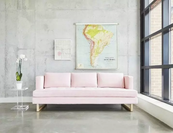 SOFA SOFAS: Mienzaniso iri mumukati, yakasviba uye ine guruva-pink ruvara, nyoro uye grey pink, pale pink uye imwe shades 9119_26