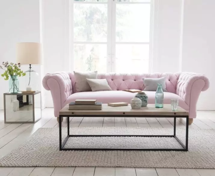 Ružičaste sofe: Primjeri u unutrašnjosti, prljavoj i prašini-ružičastoj boji, mekoj i sivoj ružičastoj, blijedi ružičastim i drugim nijansama 9119_3