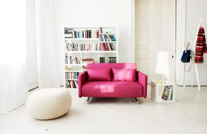 Ružičaste sofe: Primjeri u unutrašnjosti, prljavoj i prašini-ružičastoj boji, mekoj i sivoj ružičastoj, blijedi ružičastim i drugim nijansama 9119_34