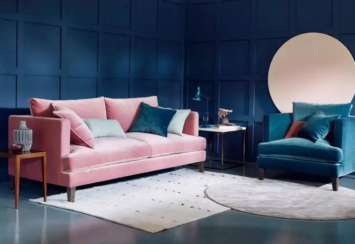 Ružičaste sofe: Primjeri u unutrašnjosti, prljavoj i prašini-ružičastoj boji, mekoj i sivoj ružičastoj, blijedi ružičastim i drugim nijansama 9119_37