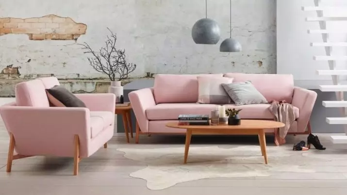 Sofas rozë: shembuj në ngjyrë të brendshme, të pista dhe pluhur-rozë, të butë dhe gri rozë, rozë të zbehtë dhe hije të tjera 9119_39