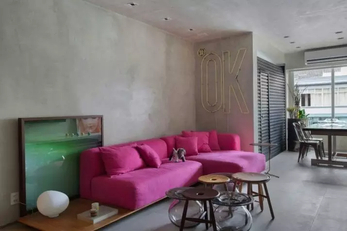 Ružičaste sofe: Primjeri u unutrašnjosti, prljavoj i prašini-ružičastoj boji, mekoj i sivoj ružičastoj, blijedi ružičastim i drugim nijansama 9119_47