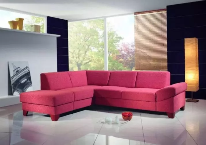 Ružičaste sofe: Primjeri u unutrašnjosti, prljavoj i prašini-ružičastoj boji, mekoj i sivoj ružičastoj, blijedi ružičastim i drugim nijansama 9119_8