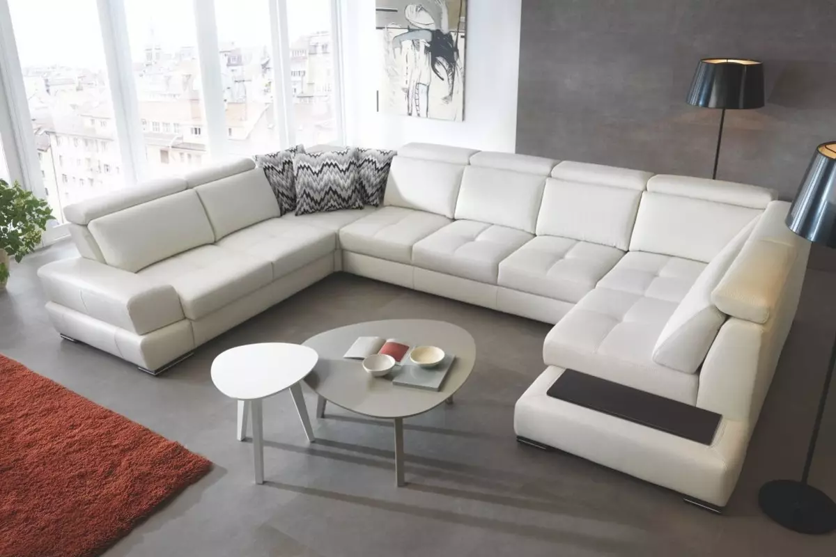 Luxury Sofas (39 mga larawan): Piliin ang eksklusibong mga modelo ng premium para sa bahay ng produksyon ng Europa at Ruso, 160 cm ang lapad at iba pa 9121_20