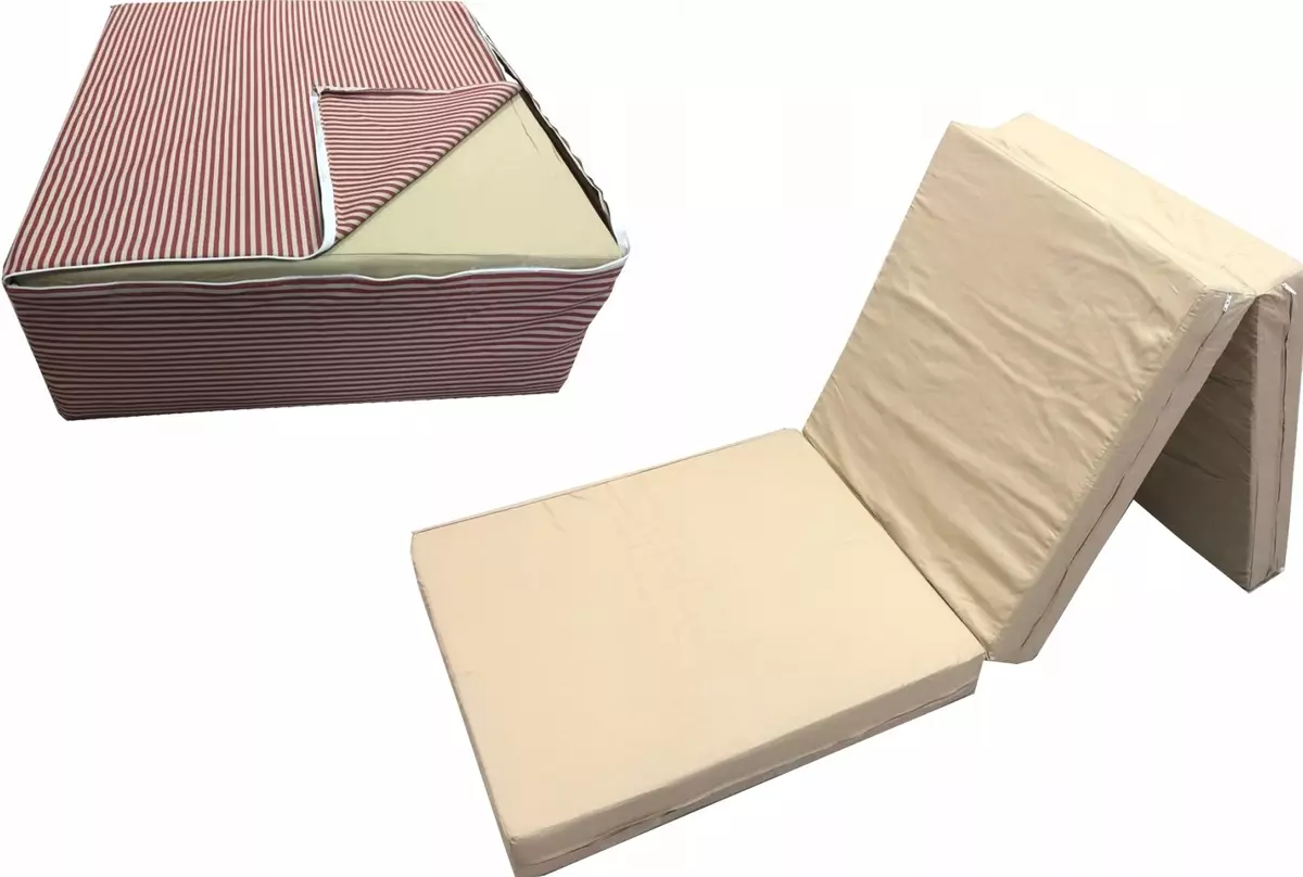 Folding mattress on a sofa for sleep: Choose on the sofa book and corner sofa folding flavoring mattress 9123_15