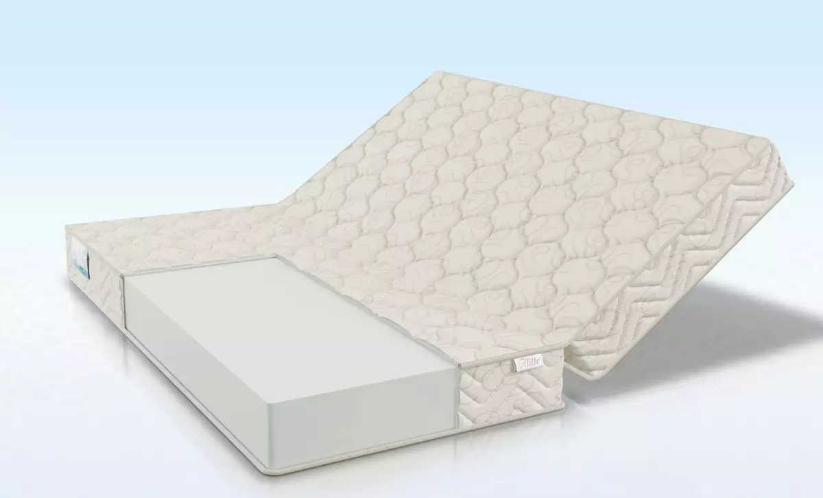Összecsukható matrac egy kanapén aludni: Válassza ki a kanapé könyvét és a sarokkocsit, összecsukható ízesítő matracot 9123_27