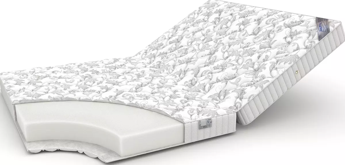 Összecsukható matrac egy kanapén aludni: Válassza ki a kanapé könyvét és a sarokkocsit, összecsukható ízesítő matracot 9123_4