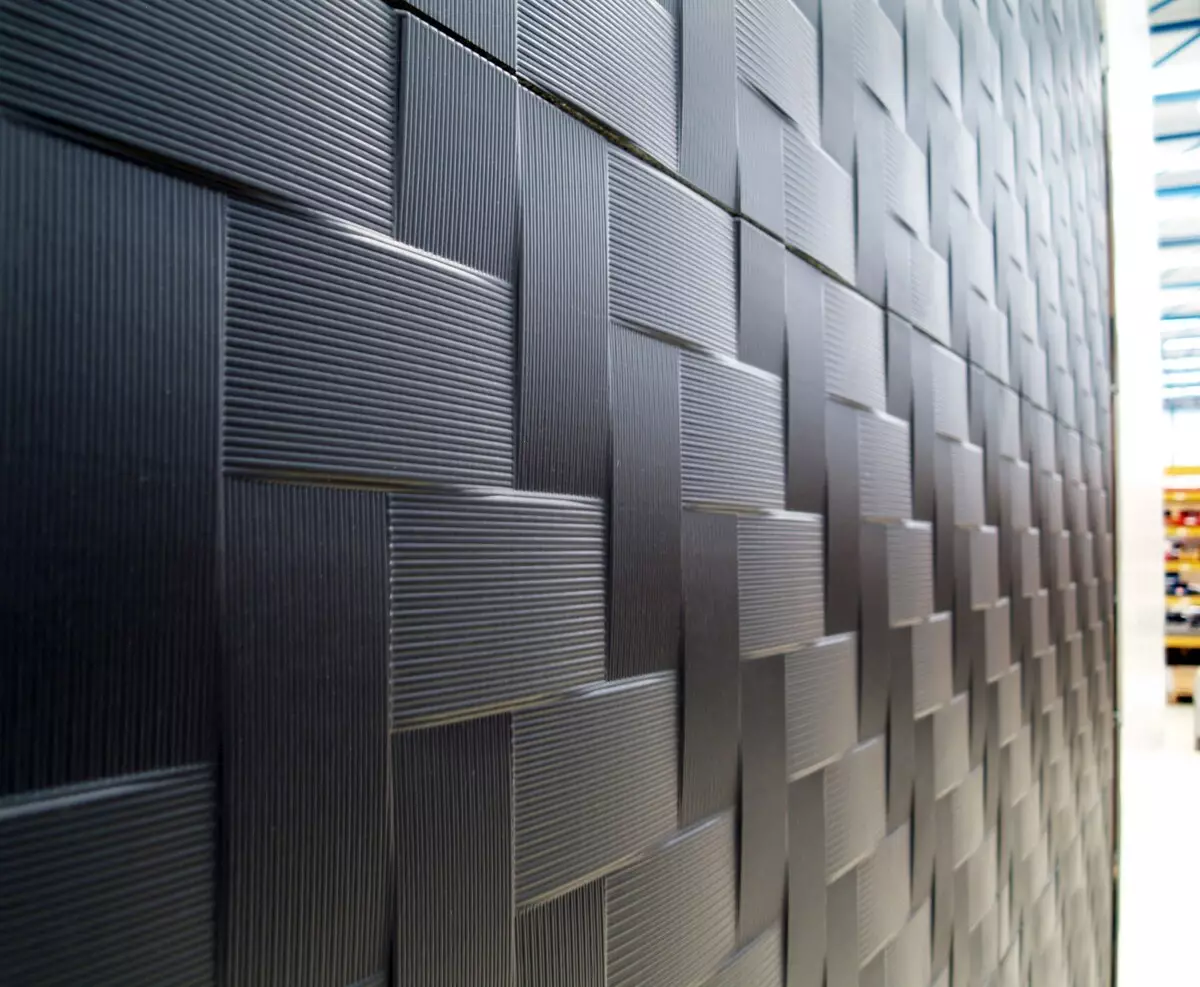 Paneles en el pasillo en las paredes (55 fotos): ideas interesantes de decoración de la pared en los paneles de pasillo de PVC, MDF y otros materiales. Opciones de diseño de interiores 9124_34