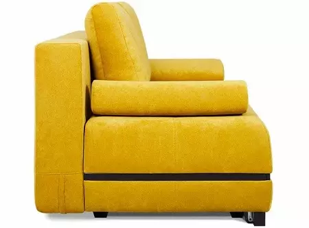 Pushe Sofa: sudut, lurus dan modular, katil sofa dan model lain dari kilang. Maklumbalas Pelanggan 9127_14