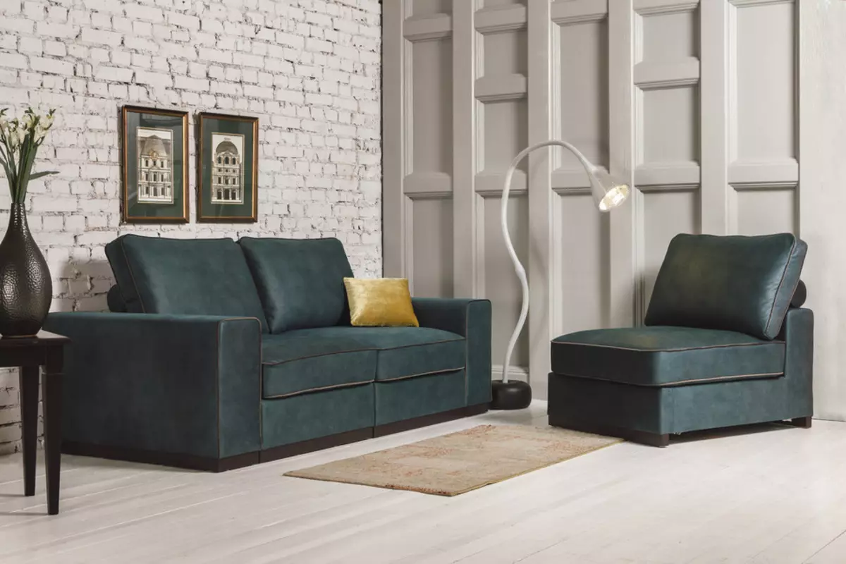 Push-sofaer: hjørne, rette og modulære, sovesofaer og andre modeller fra fabrikken. Kunde anmeldelser 9127_25
