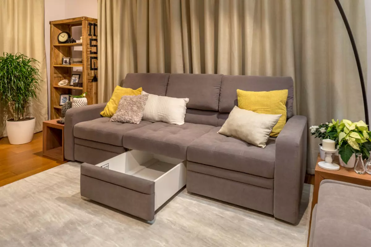 Pushe kanapék: sarok, egyenes és moduláris, kanapé ágyak és egyéb modellek a gyárból. Vásárlói vélemények 9127_8