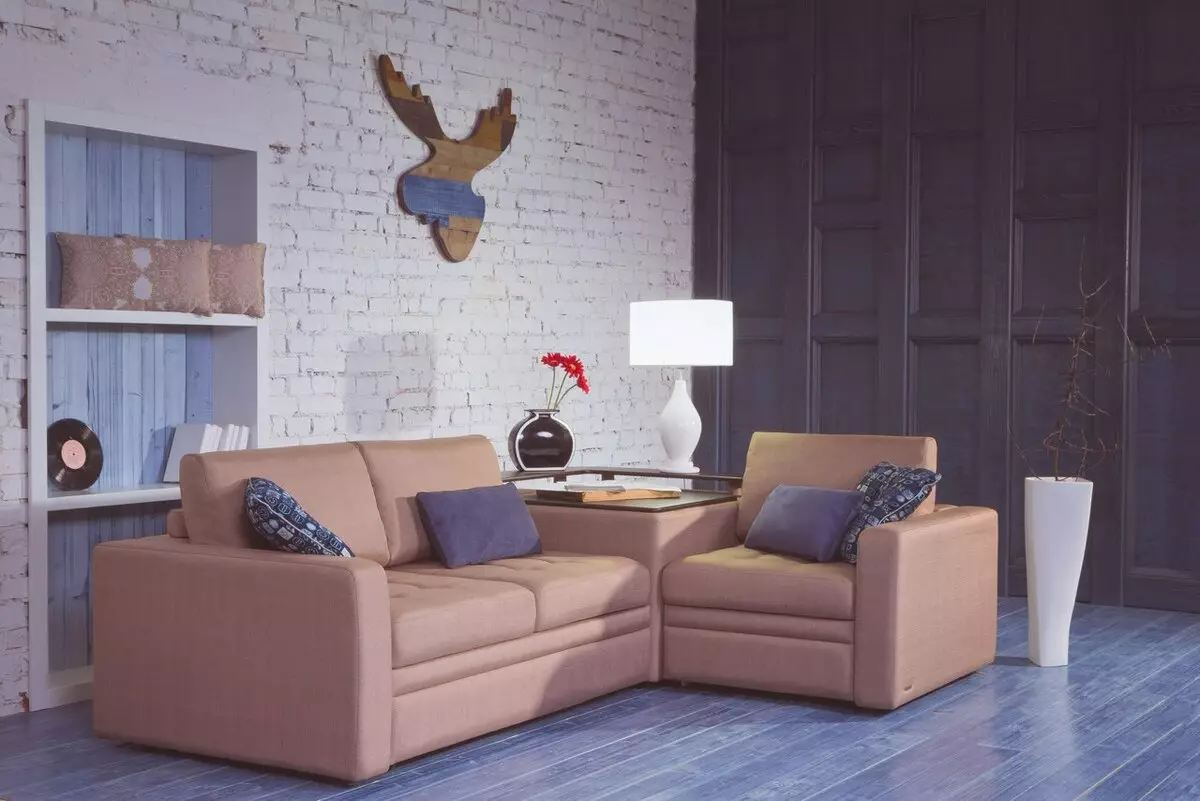 Push sofas: hoek, reguit en modulêr, slaapbanke en ander modelle van die fabriek. Kliënt resensies 9127_9
