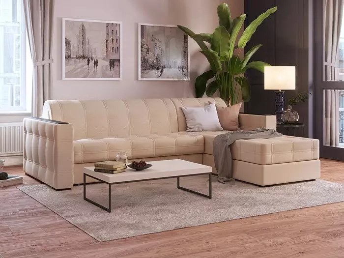 Ormatek Sofas: Sofa մահճակալը օրթոպեդիկ ներքնակի հետ ամենօրյա օգտագործման եւ անկյունային մոդելների համար: Հաճախորդների ակնարկներ 9135_24